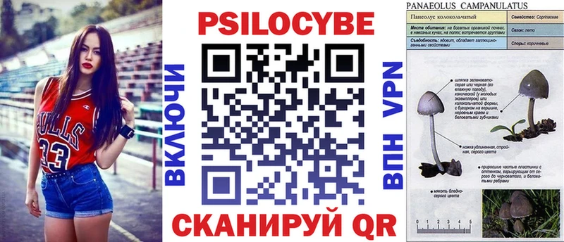 Галлюциногенные грибы прущие грибы  Купить  Людиново 
